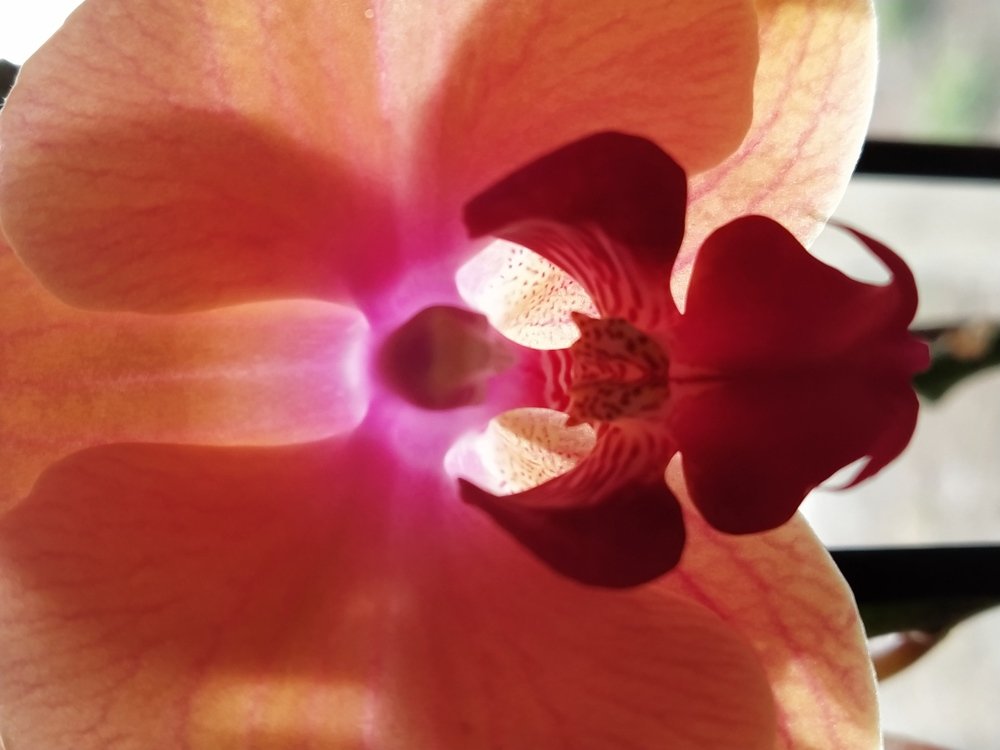 Photograph by Karina Yakovleva