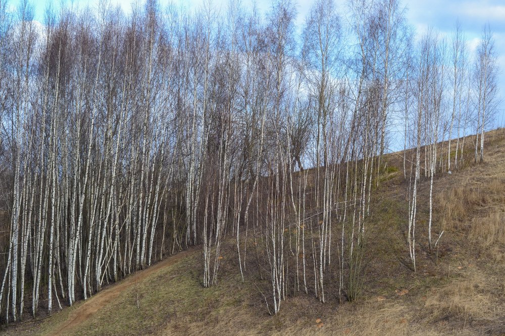 Photograph by александр фетисов