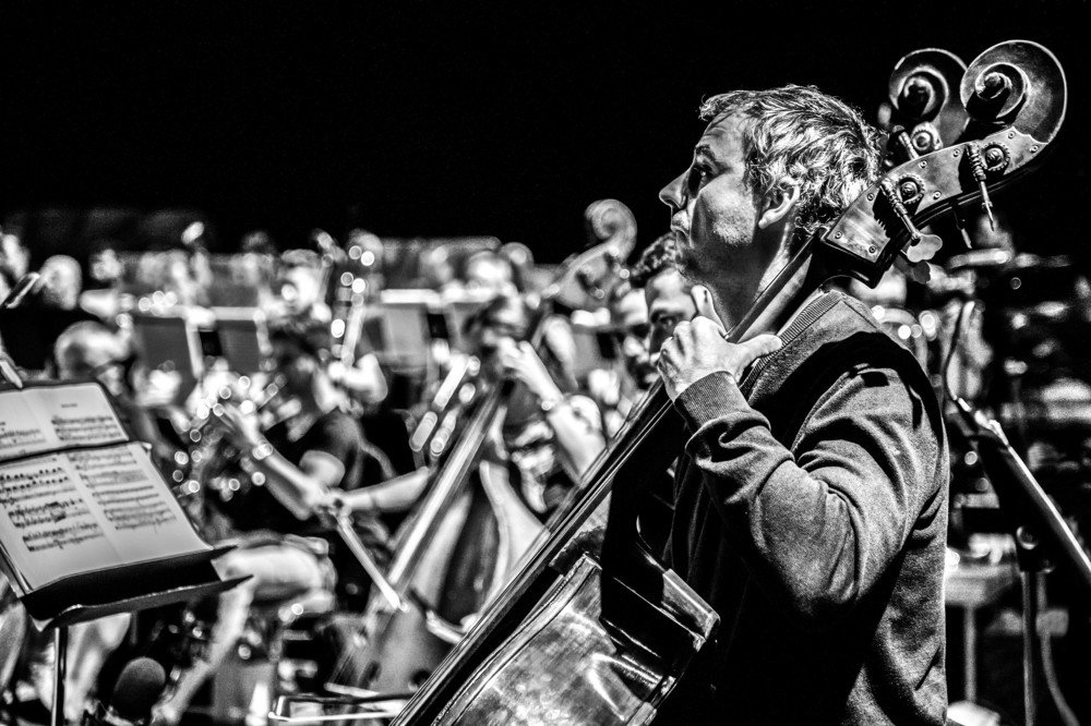 Photograph by Adel Ibrahem