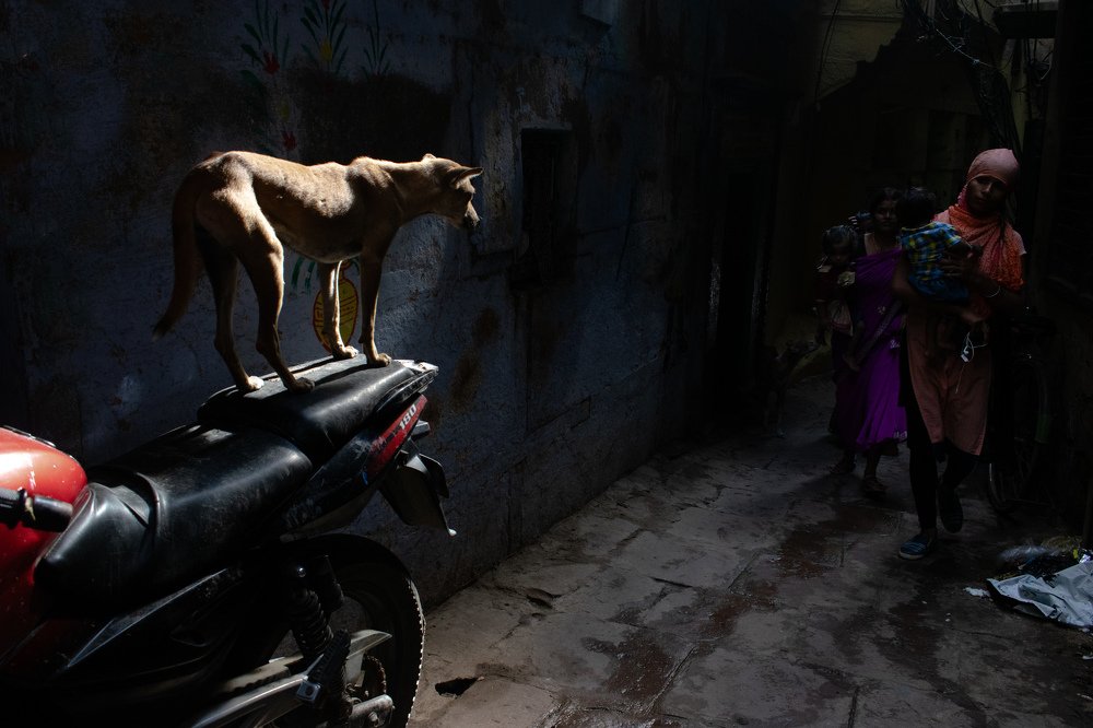 Photograph by Tiwari Rajat