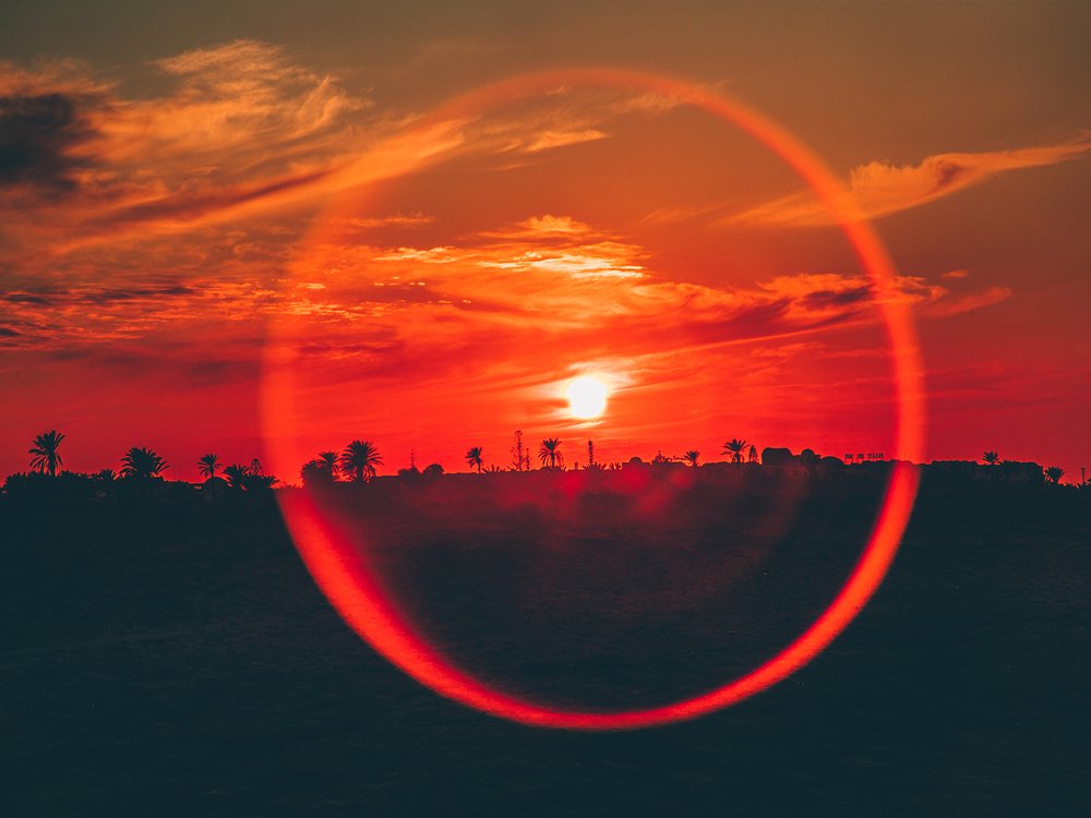 Photograph by Дмитрий Трепольский