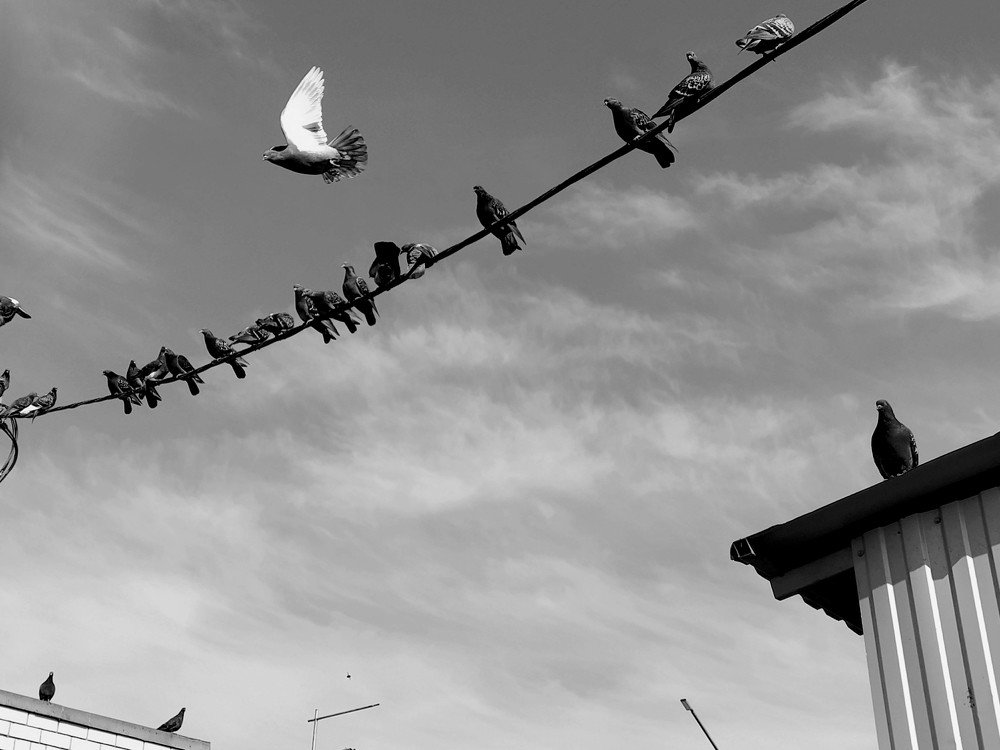 Photograph by Karina Yakovleva