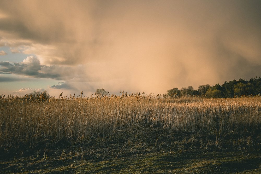 Photograph by Васенин Павел