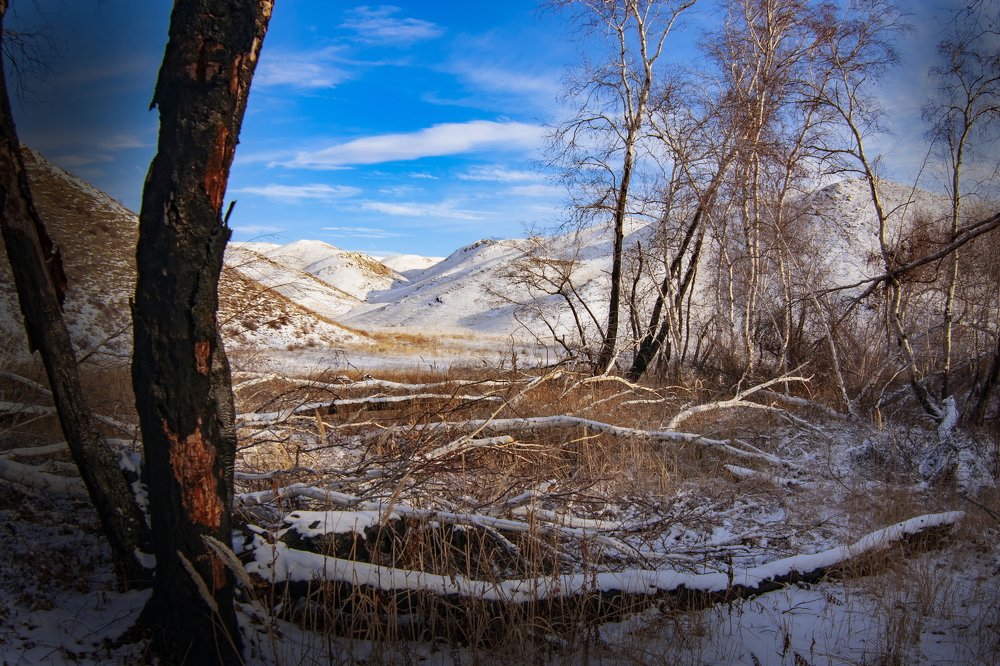 Photograph by петр чиков