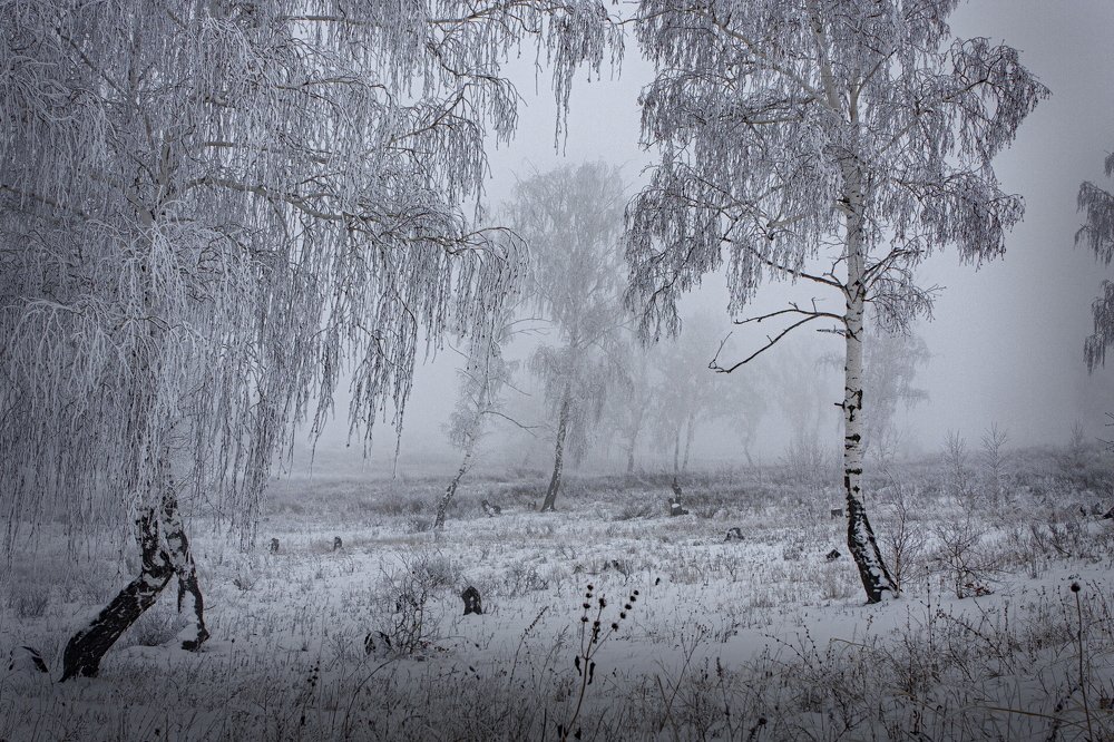 Photograph by петр чиков