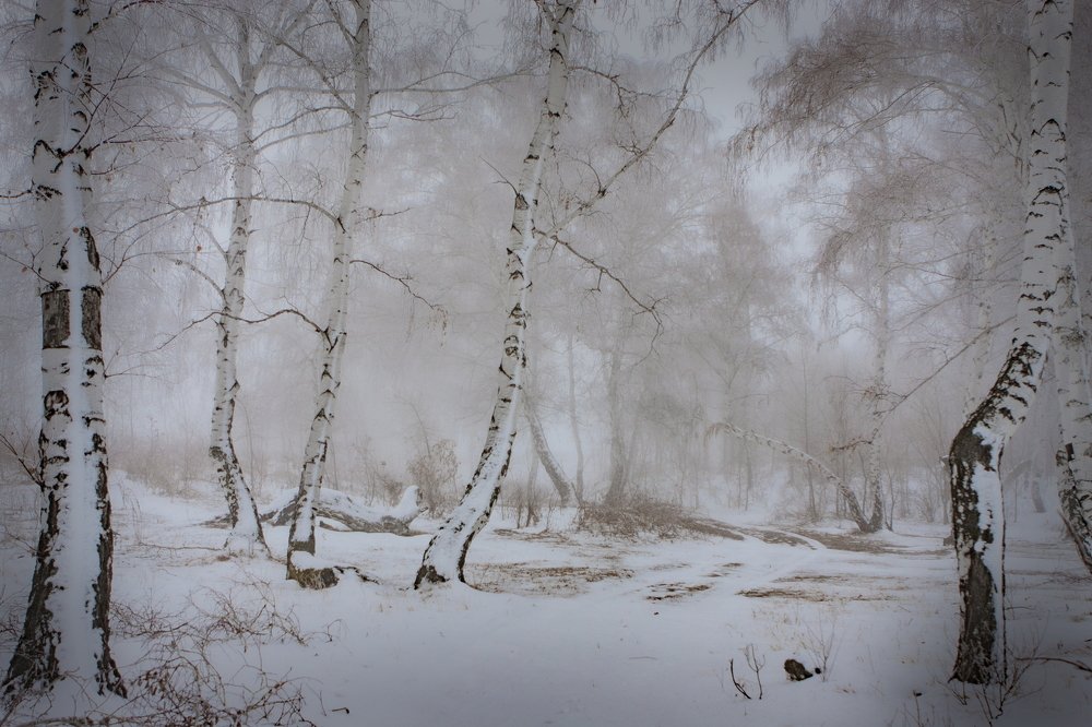 Photograph by петр чиков