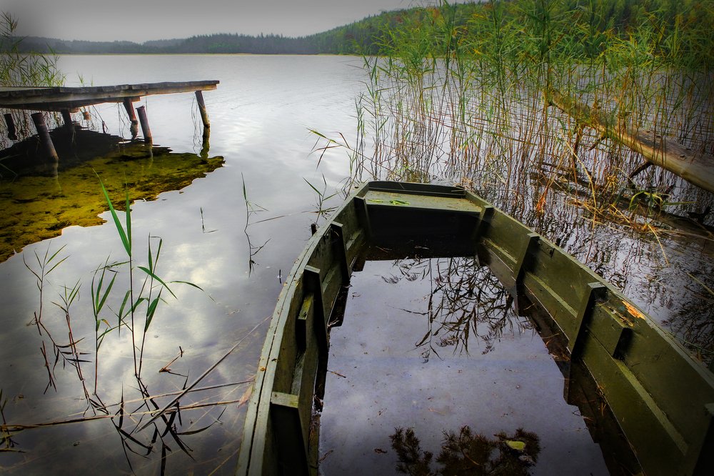 Photograph by петр чиков