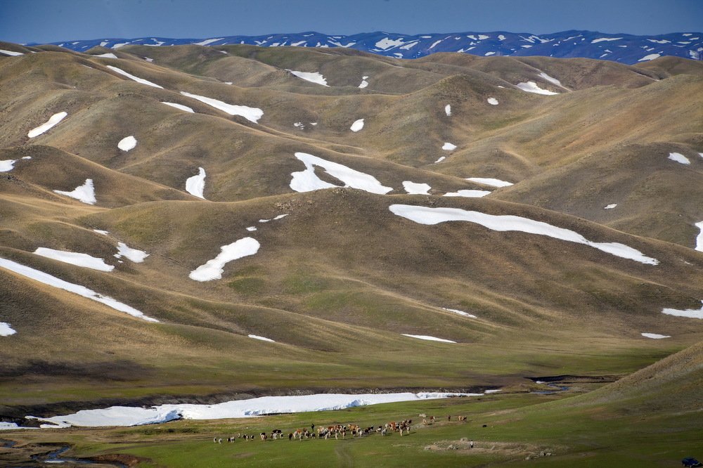 Photograph by петр чиков