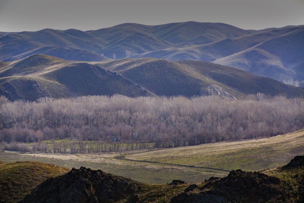 Photograph by петр чиков