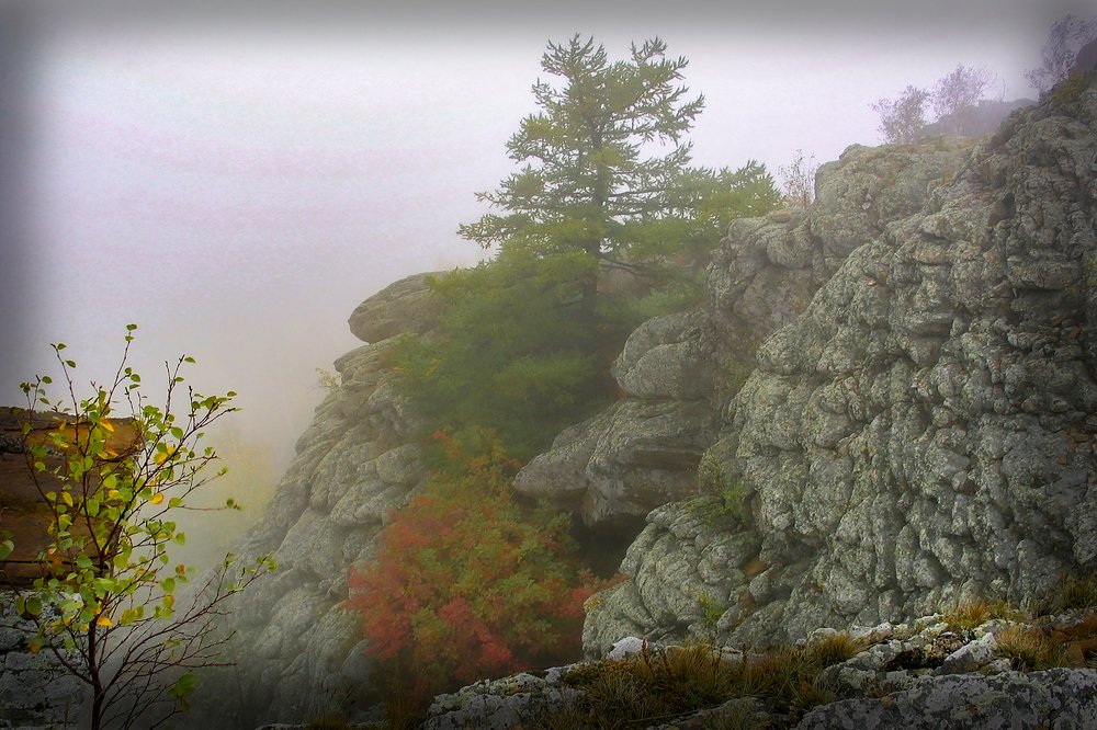 Photograph by петр чиков