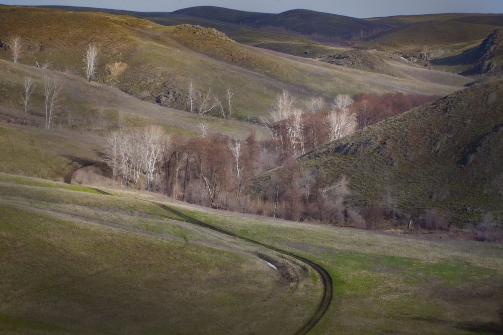 Photograph by петр чиков