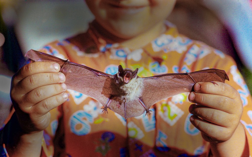 Photograph by петр чиков