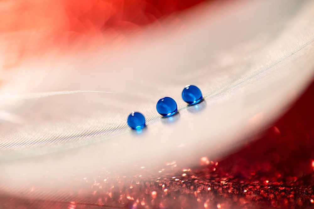 Фотография автора Андрей Сосновский