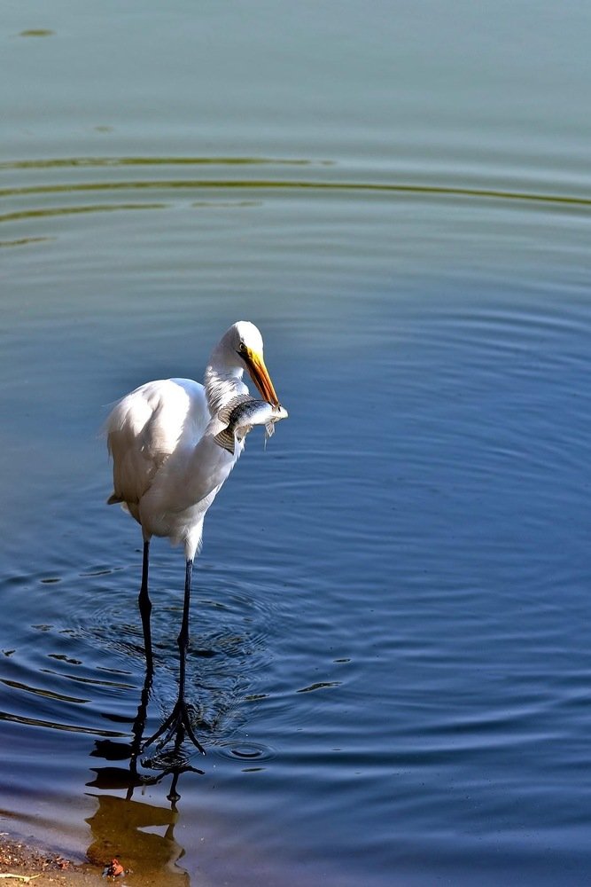 Photograph by Luchy Mascaró