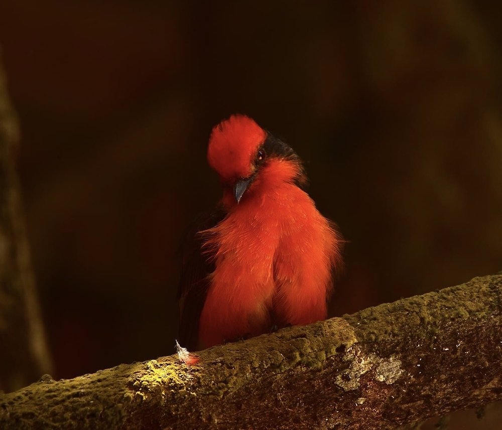 Photograph by Luchy Mascaró