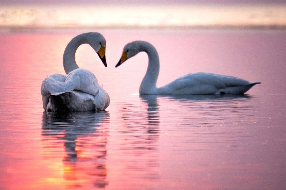 Фотография автора Денис Винарь