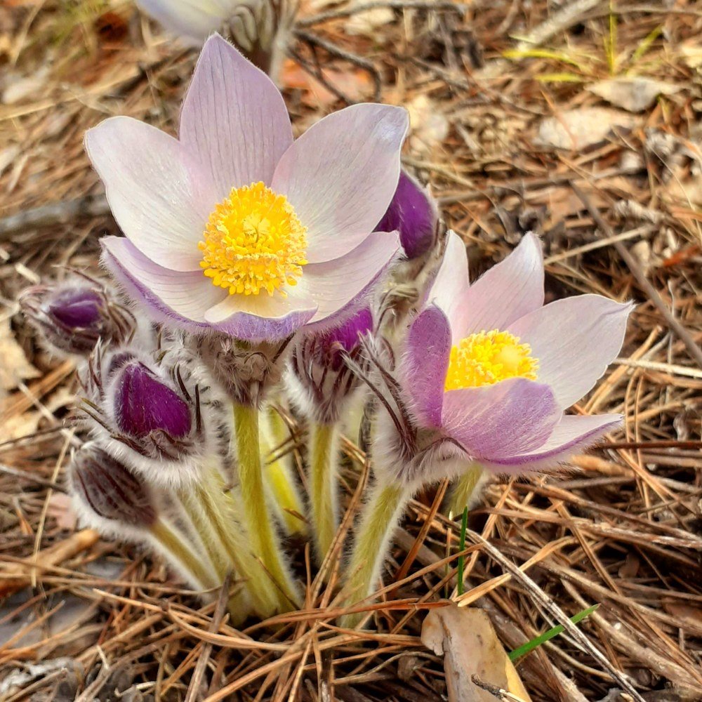 Photograph by Алсу Гиматова