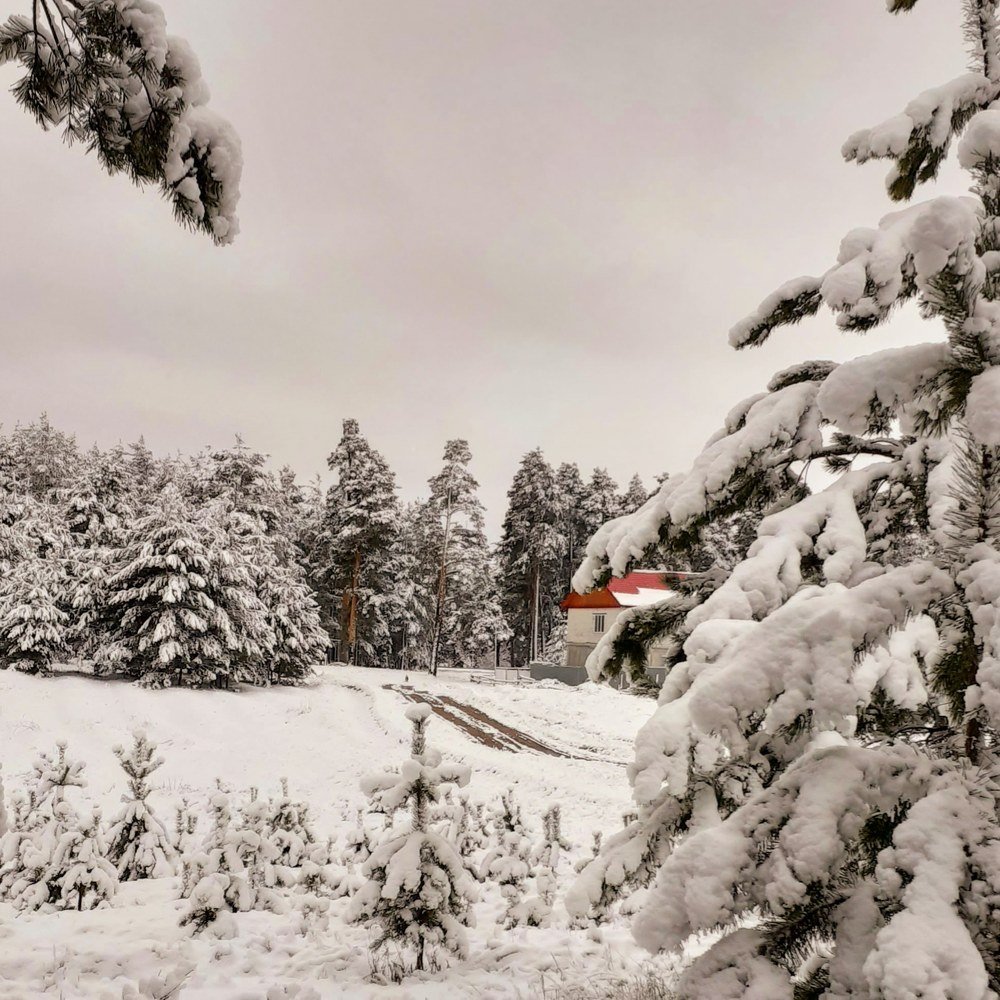 Photograph by Алсу Гиматова