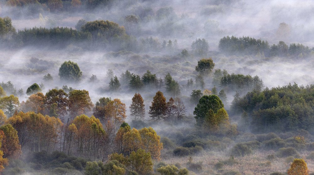 Photograph by Pietro Ebner