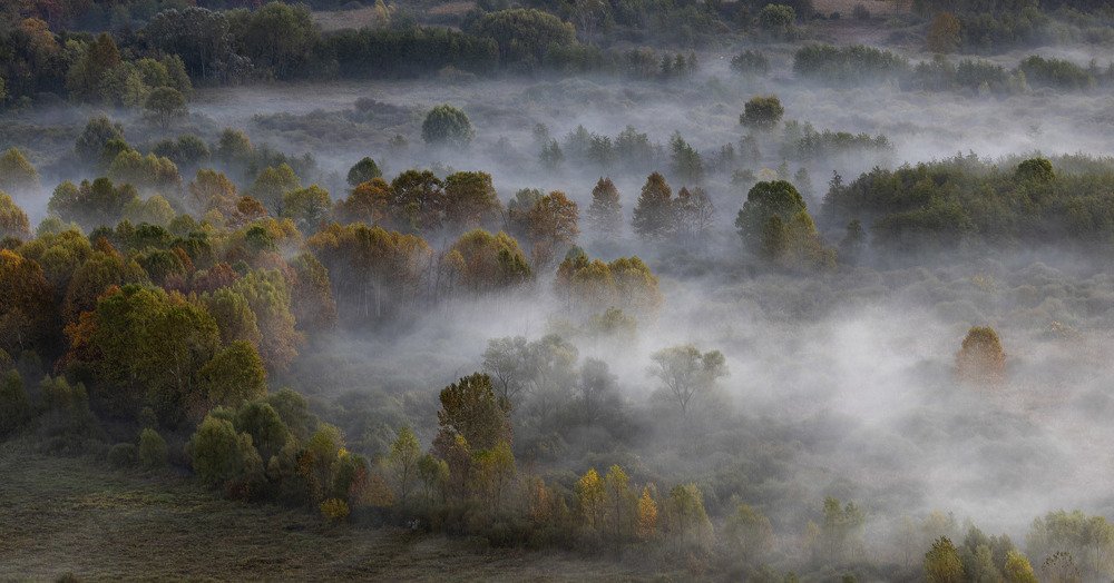 Photograph by Pietro Ebner