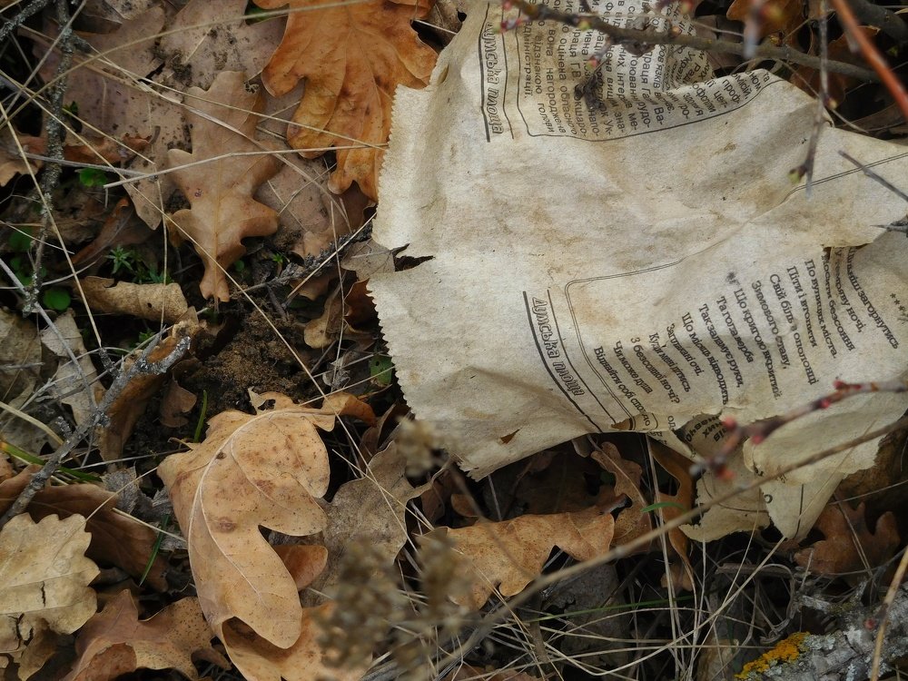 Photo #4540671