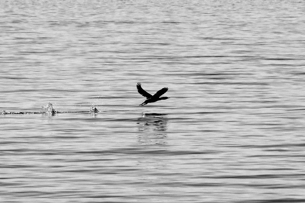 Photograph by Kostas Rammos