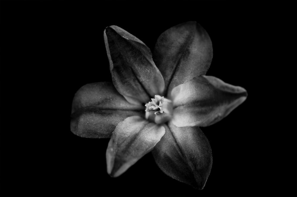 Photograph by Владимир Янчук