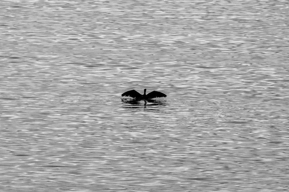 Photograph by Kostas Rammos