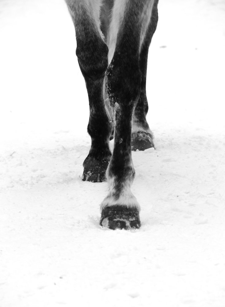 Photograph by Элен Рай