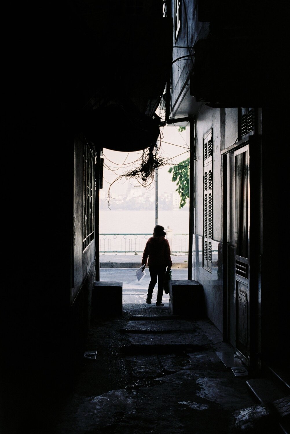 Photo #4540906