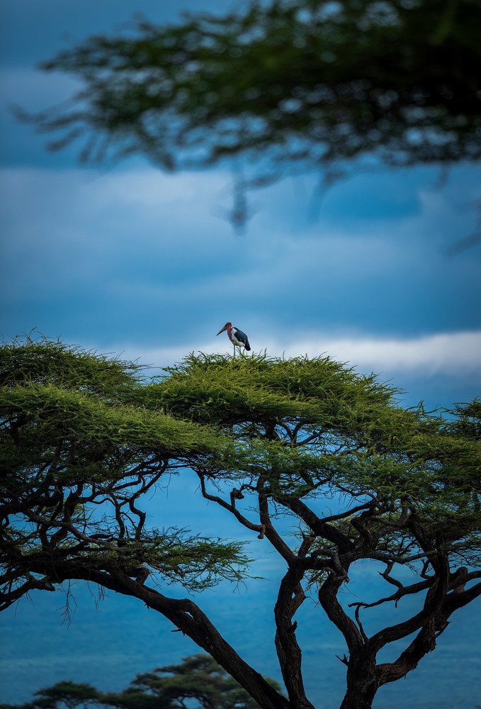 Фотография автора Ravikumar Kannaiyan