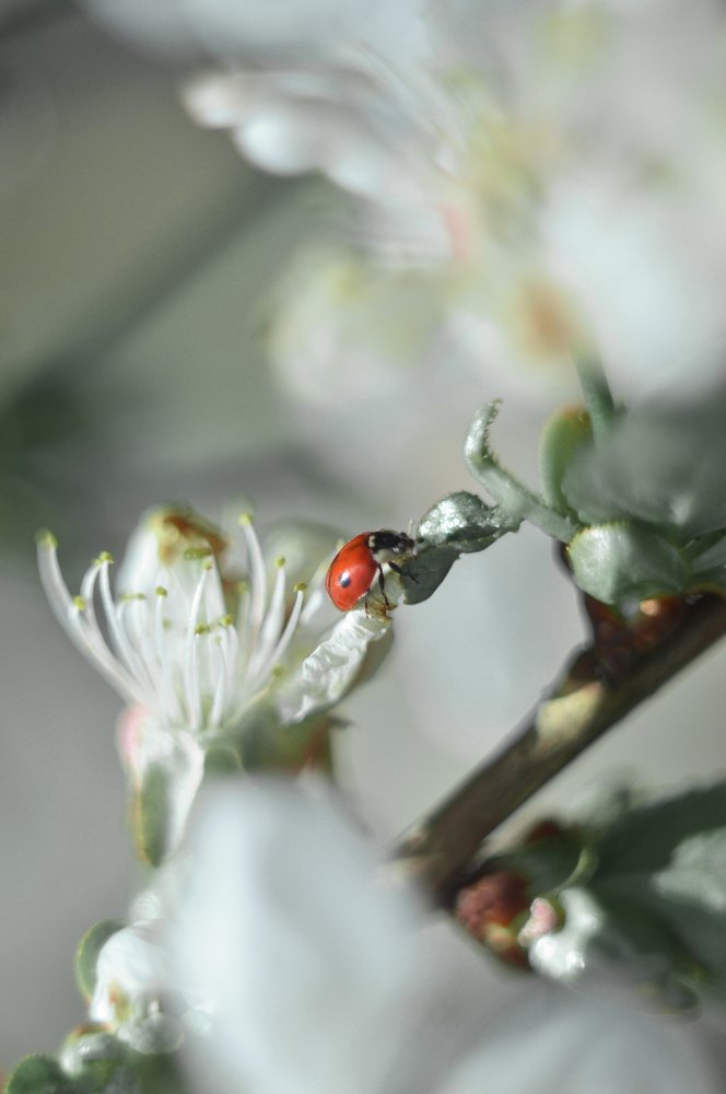 Вперед к своей цели