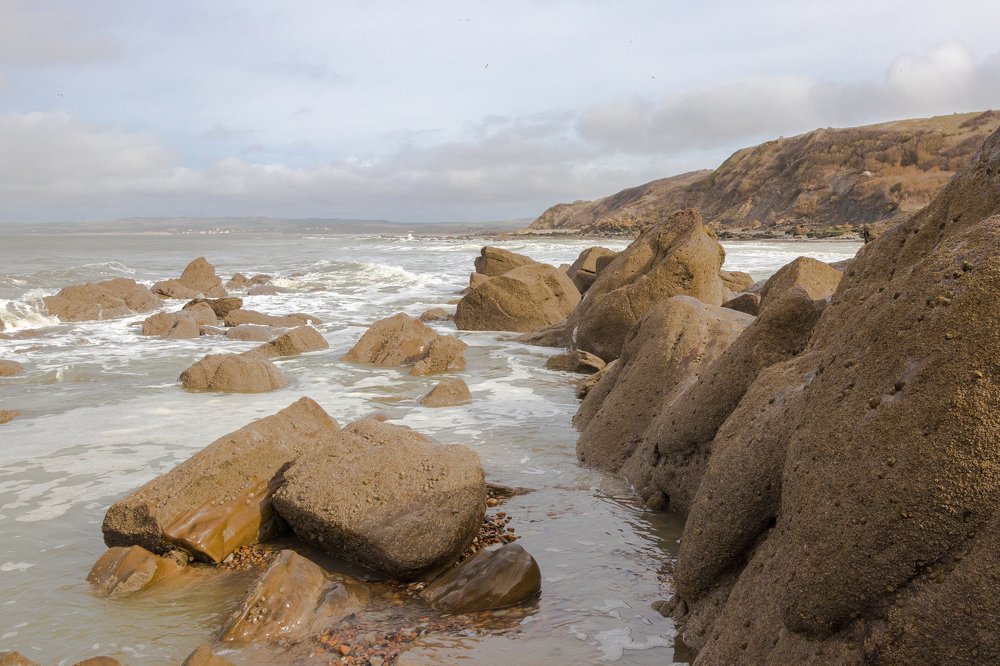 Photograph by Natascha Coene