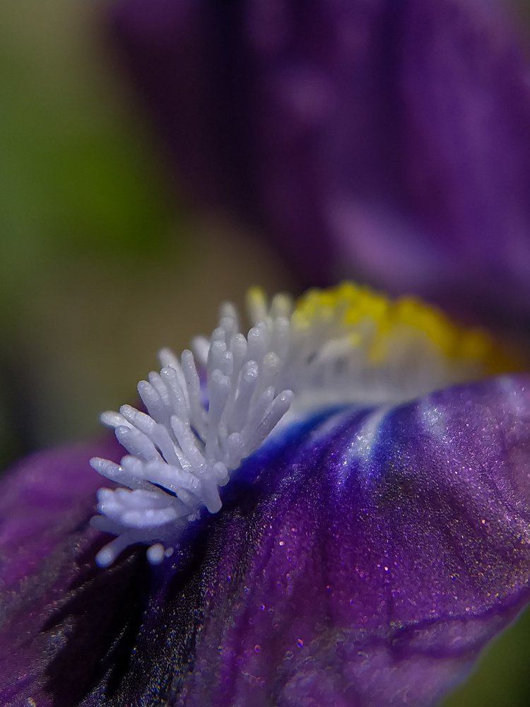 Фотография автора Наталья Алексеева