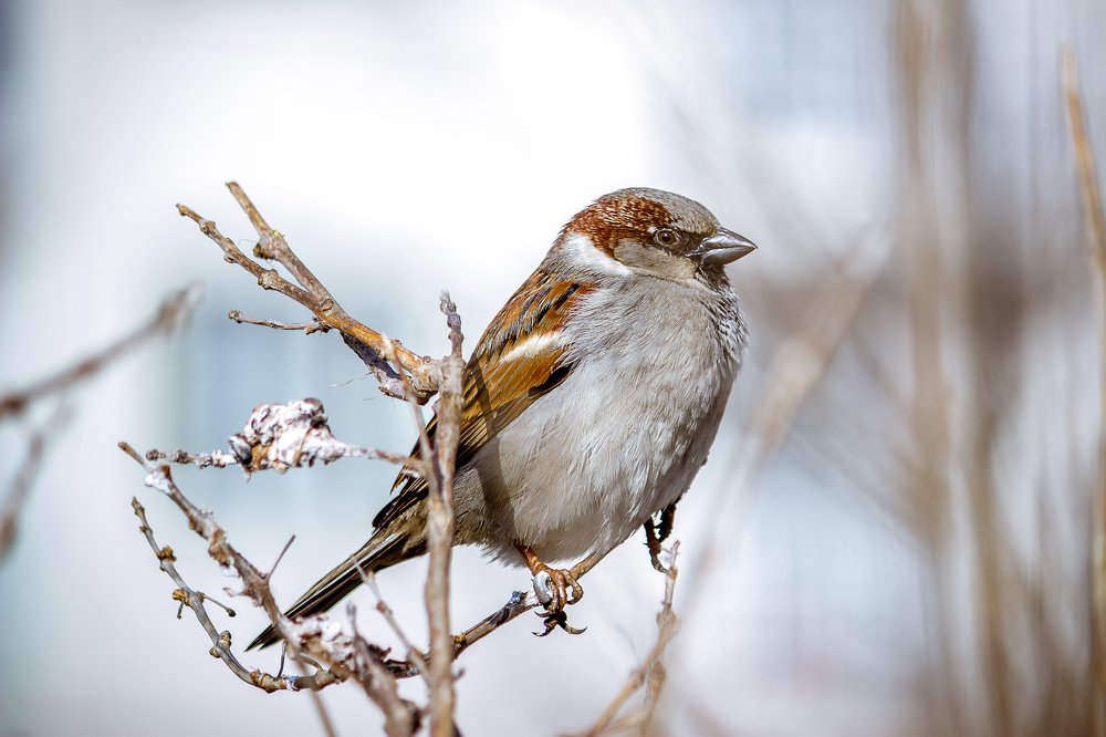 Photograph by Екатерина Нефедова