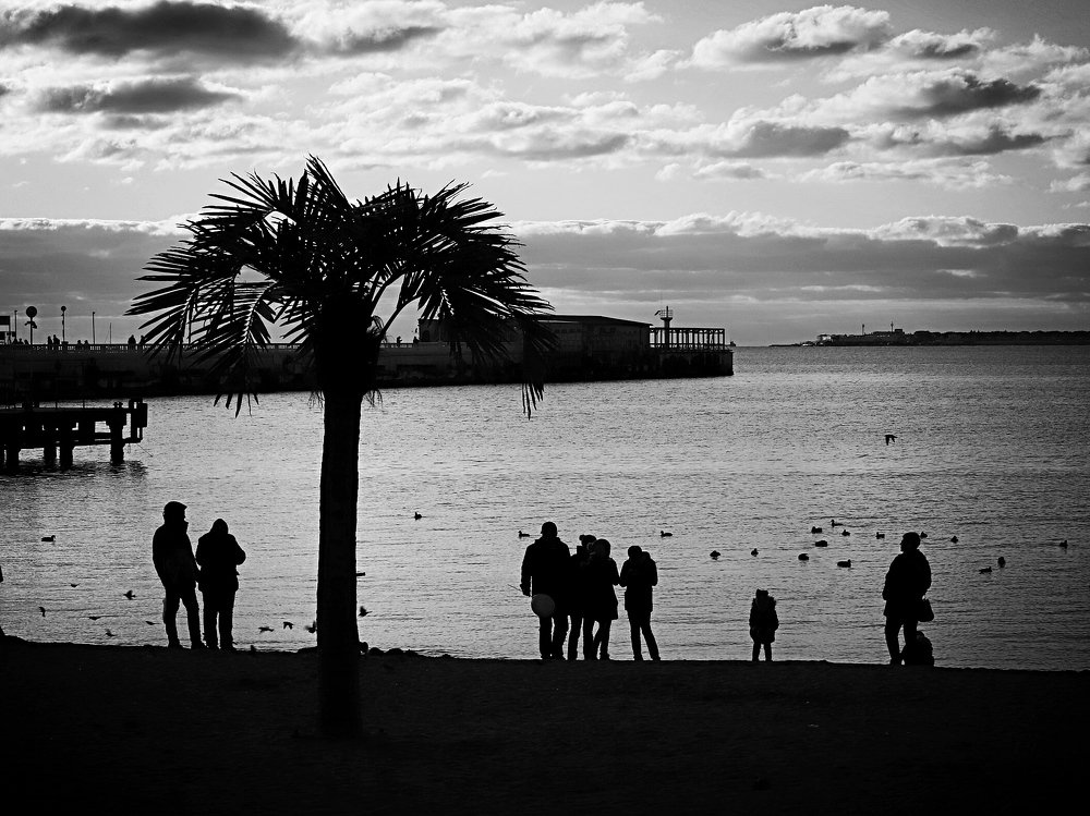 Photograph by Олег Башкуров