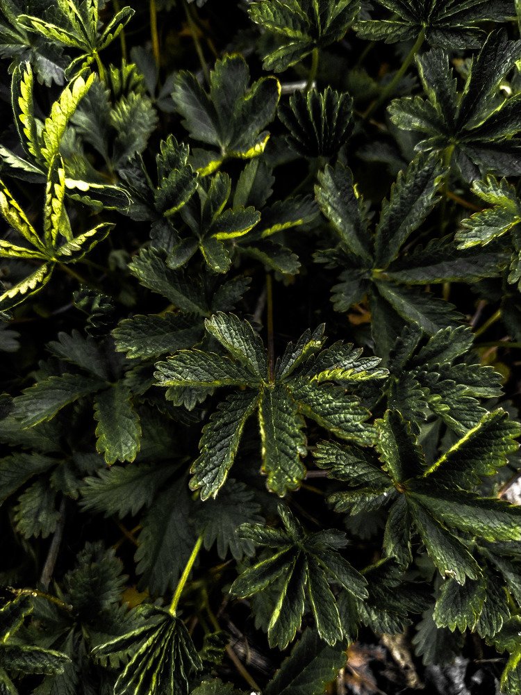 Photograph by Нурбий Кунихов