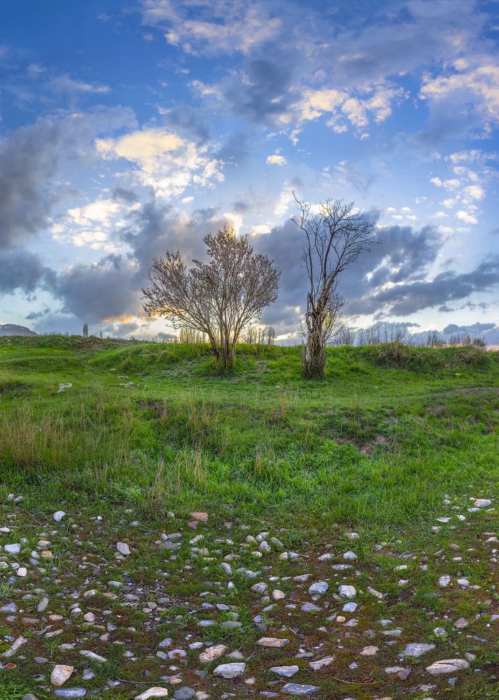 Фотография автора majid arab