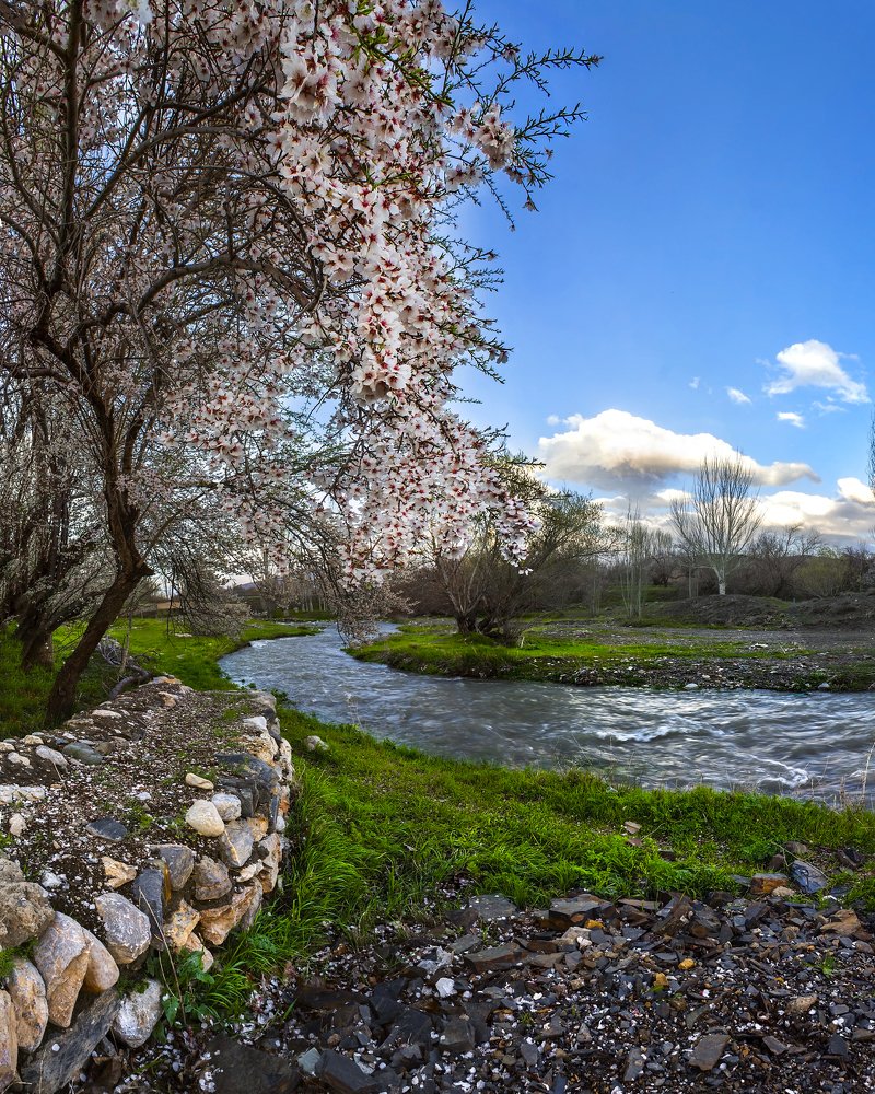 Фотография автора majid arab