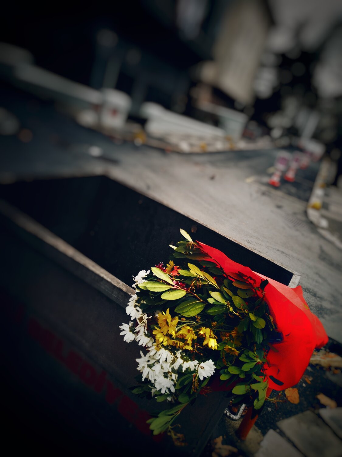 Photo #4541239