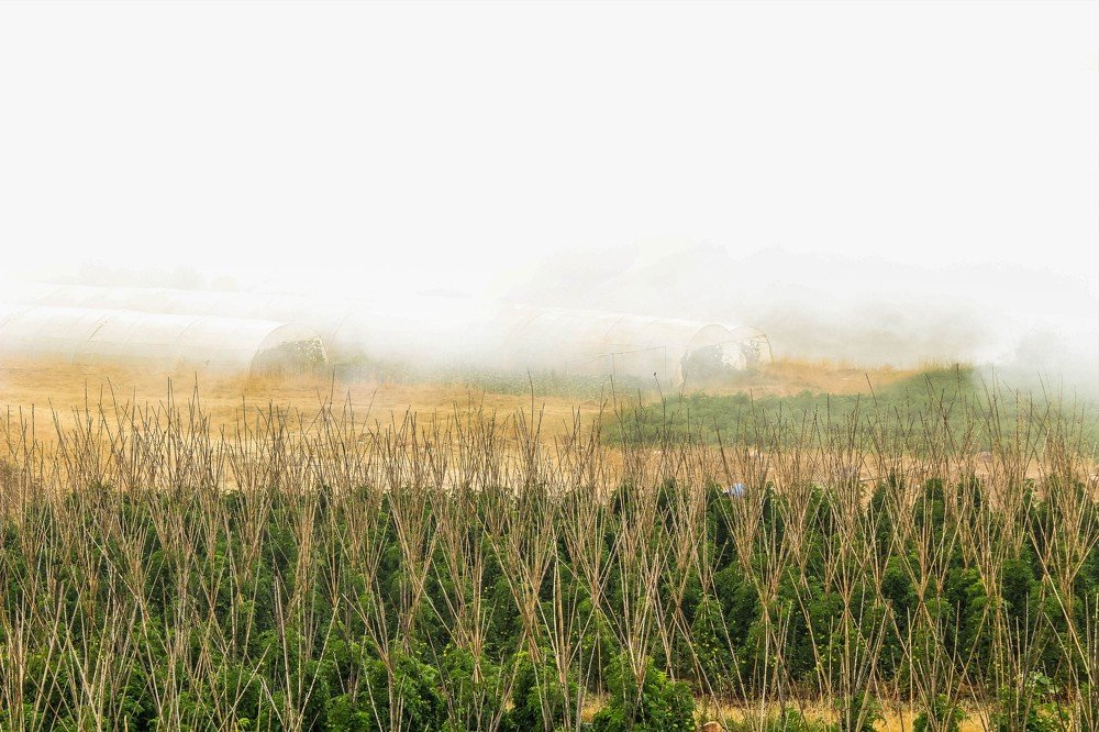 Photograph by Brian Bob