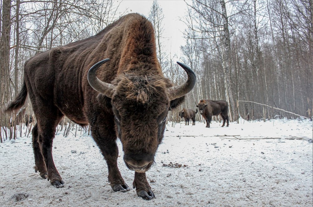 Photograph by Мария Кригер