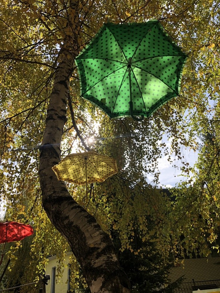 Photograph by Лариса