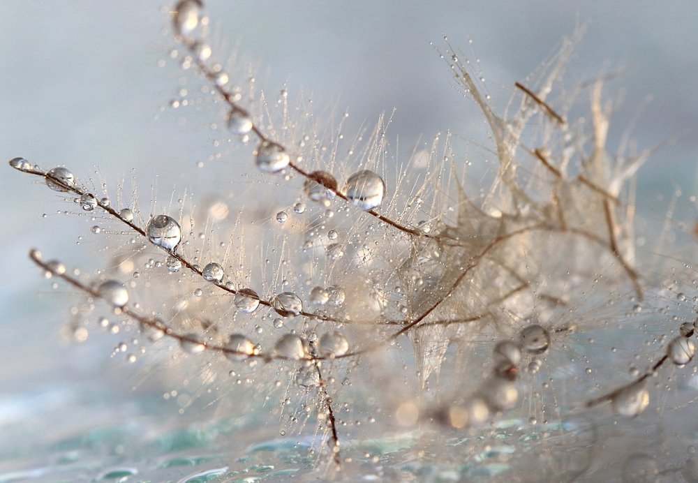 Photograph by Шруб (Беляева) Татьяна