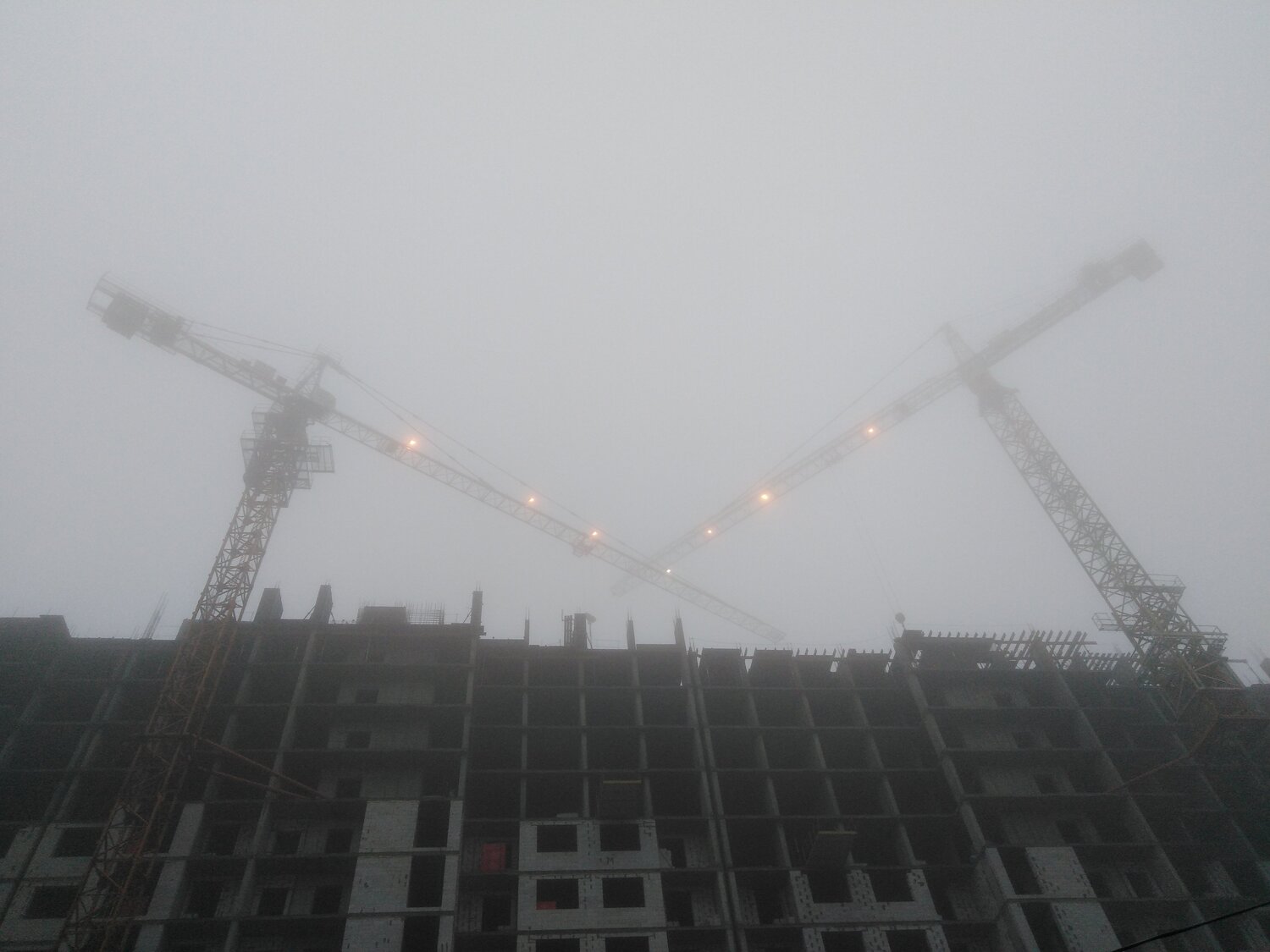 Photo #4541903