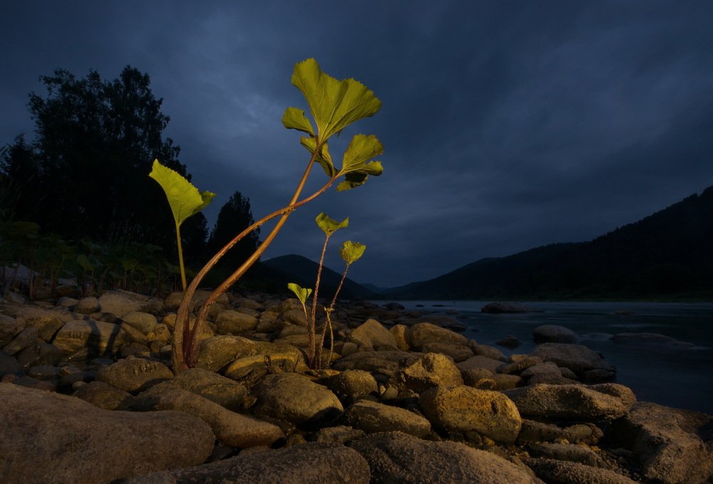 На берегу горной реки