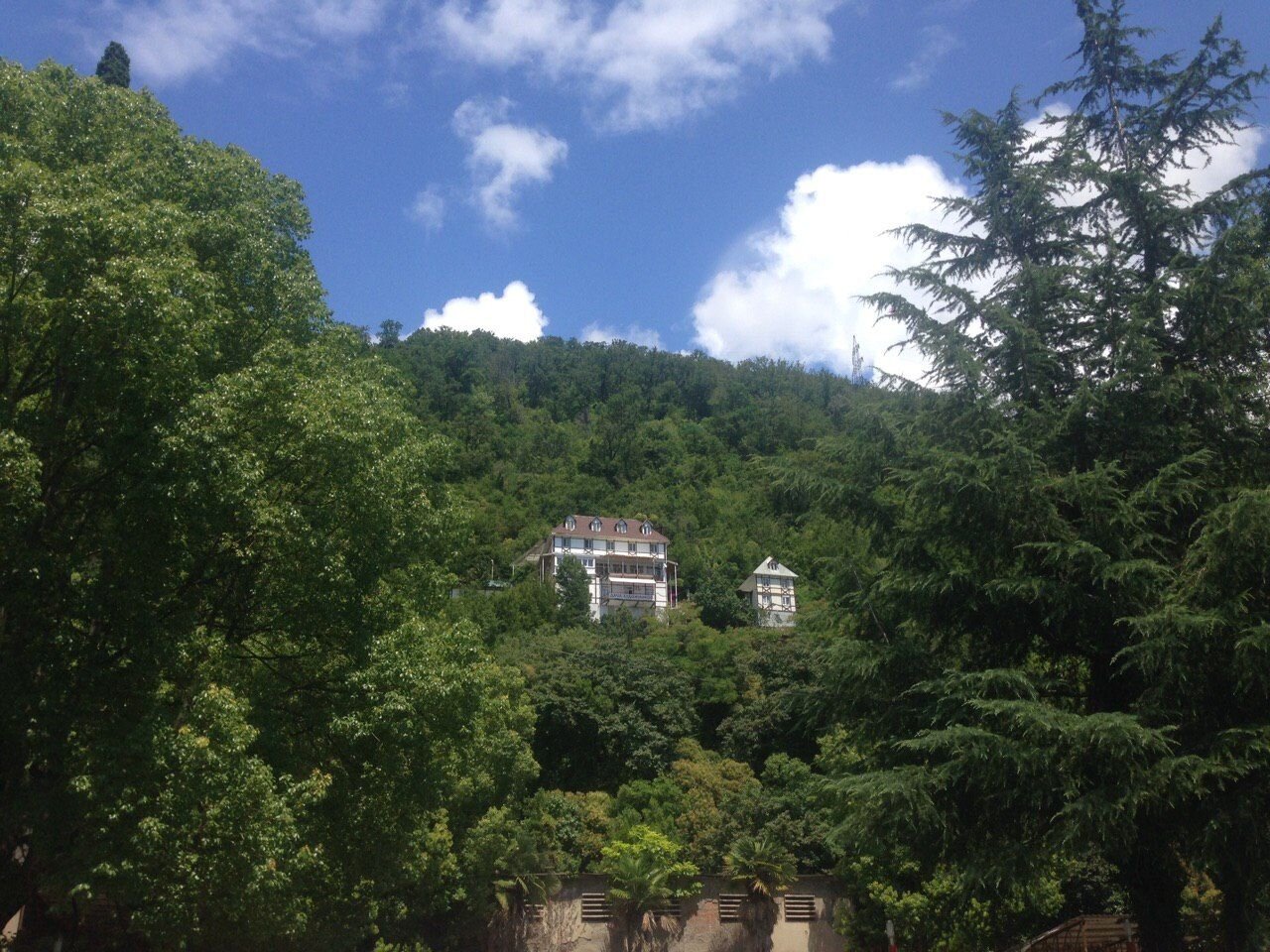 Photo #4541938