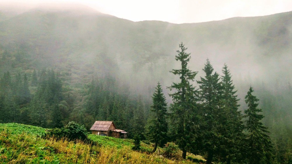 Photo #4541992