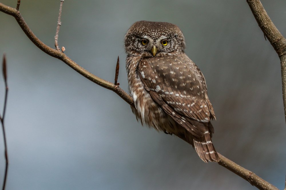 Photograph by Piotr Warzecha