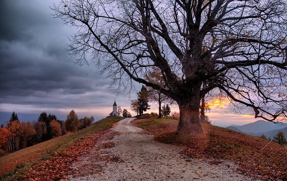 Photograph by Светлана Михалкова